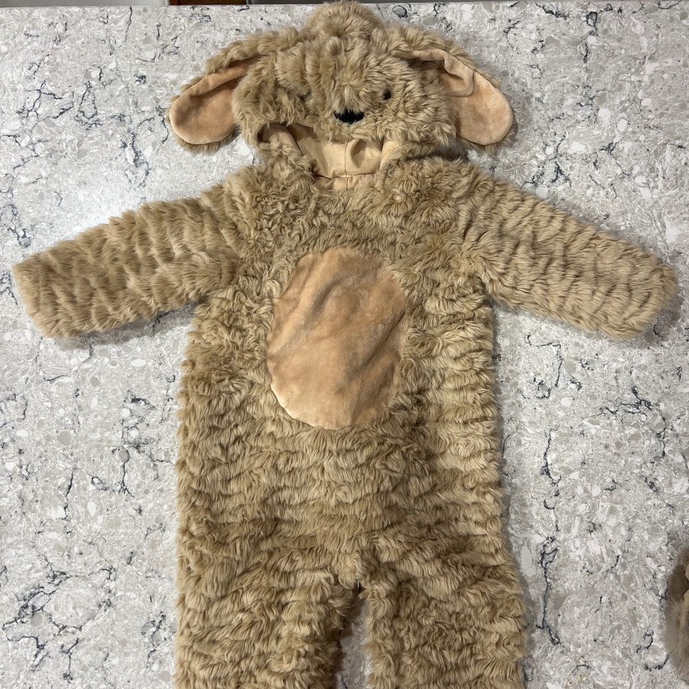 Pottery barn kids labradoodle dog costume